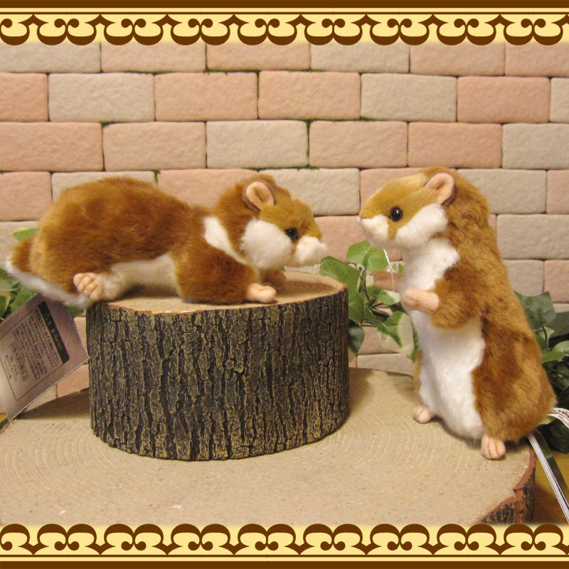 �ꥢ��� ưʪ�� �̤������ �ϥॹ���� ���Υ��å� ���˥ޥ� ���֥��� ����ƥꥢ ���å� �ե����奢