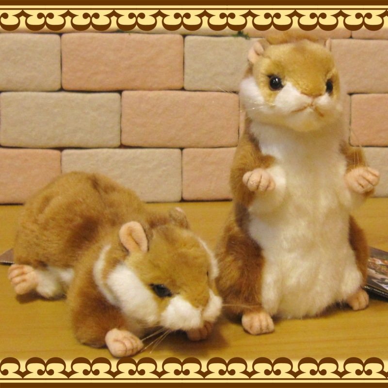 �ꥢ��� ưʪ�� �̤������ �ϥॹ���� ���Υ��å� ���˥ޥ� ���֥��� ����ƥꥢ ���å� �ե����奢