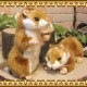 �ꥢ��� ưʪ�� �̤������ �ϥॹ���� ���Υ��å� ���˥ޥ� ���֥��� ����ƥꥢ ���å� �ե����奢