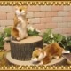 �ꥢ��� ưʪ�� �̤������ �ϥॹ���� ���Υ��å� ���˥ޥ� ���֥��� ����ƥꥢ ���å� �ե����奢
