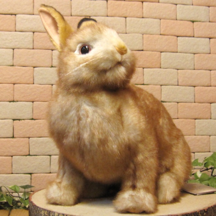 ʪꥢʡΤ̤ߡ꡼ӥåȡ֥ƥꥢХˡåե奢