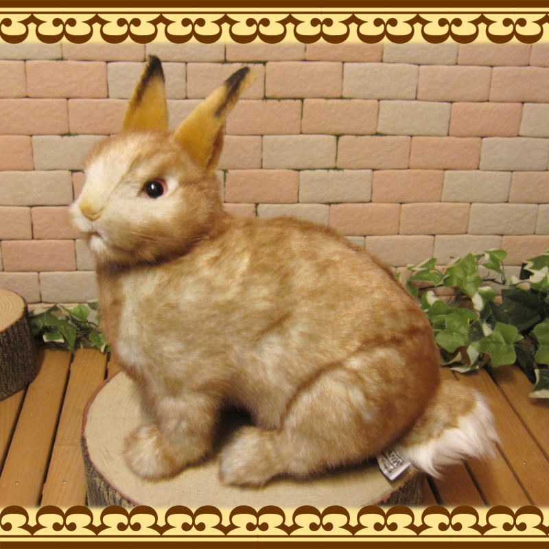 ʪꥢʡΤ̤ߡ꡼ӥåȡ֥ƥꥢХˡåե奢