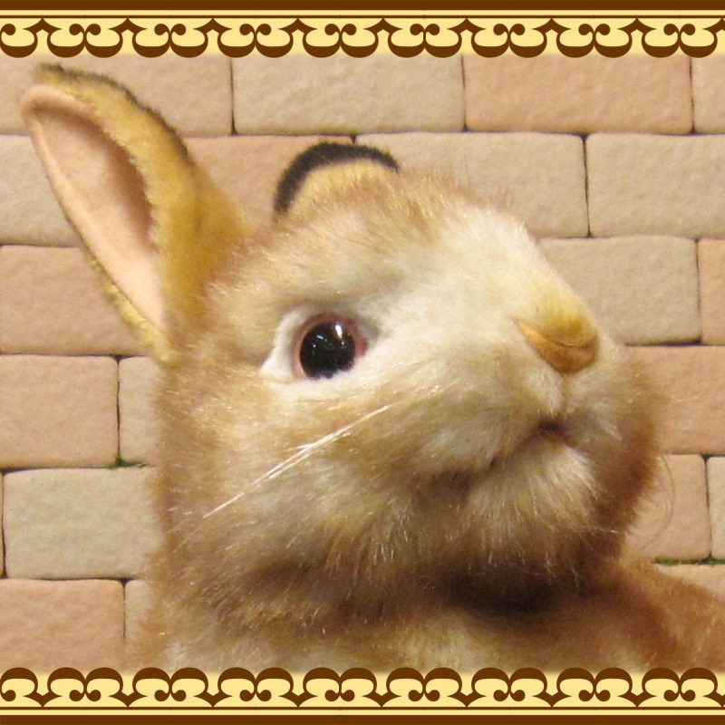 ʪꥢʡΤ̤ߡ꡼ӥåȡ֥ƥꥢХˡåե奢