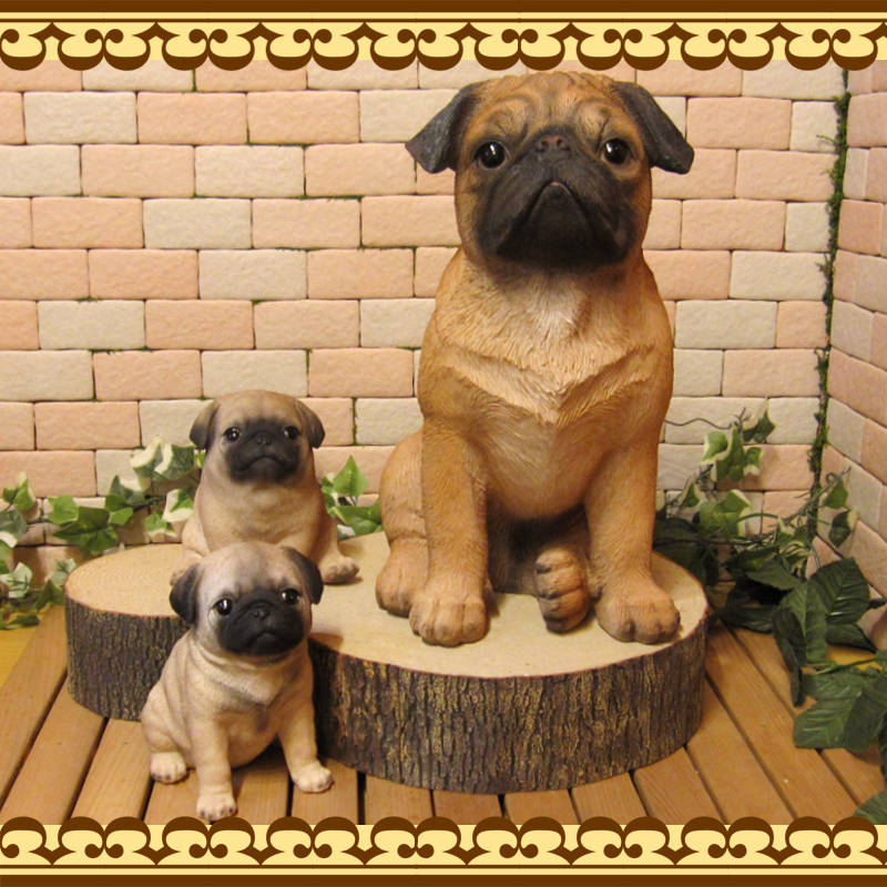 ������ʪ���ѥ����顼�����������¥����ס����̡����̡�ưʪ���֥����������ǥ󥪡��ʥ��ȡ��������ե����奢��������ա�����ƥꥢ�������衡��������