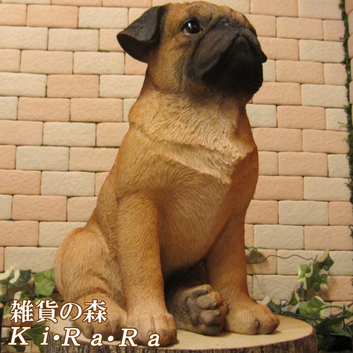 ������ʪ���ѥ����顼�����������¥����ס����̡����̡�ưʪ���֥����������ǥ󥪡��ʥ��ȡ��������ե����奢��������ա�����ƥꥢ�������衡��������