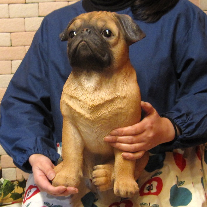 ������ʪ���ѥ����顼�����������¥����ס����̡����̡�ưʪ���֥����������ǥ󥪡��ʥ��ȡ��������ե����奢��������ա�����ƥꥢ�������衡��������