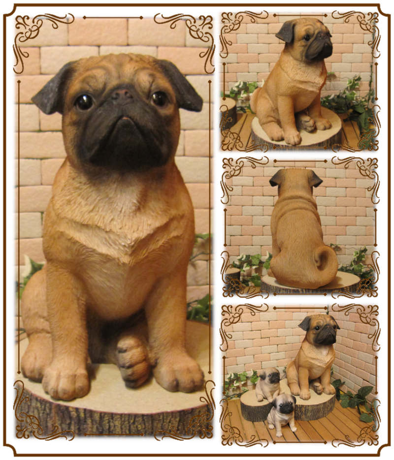 ������ʪ���ѥ����顼�����������¥����ס����̡����̡�ưʪ���֥����������ǥ󥪡��ʥ��ȡ��������ե����奢��������ա�����ƥꥢ�������衡��������