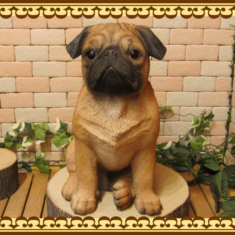 ������ʪ���ѥ����顼�����������¥����ס����̡����̡�ưʪ���֥����������ǥ󥪡��ʥ��ȡ��������ե����奢��������ա�����ƥꥢ�������衡��������