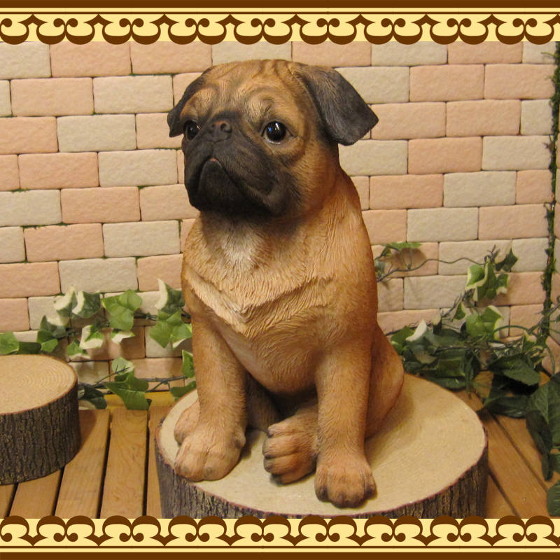 ������ʪ���ѥ����顼�����������¥����ס����̡����̡�ưʪ���֥����������ǥ󥪡��ʥ��ȡ��������ե����奢��������ա�����ƥꥢ�������衡��������