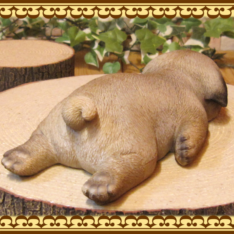 �ѥ�����ʪ���ꥢ��ʸ�����ʪ���ޤä���ɥå������̤Υե����������֥���������ƥꥢ�������ǥ󡡥٥��������ȡ��������Υ���ƥꥢ�ˤ����Υ����ʥ��ȤȤ��Ƥ����