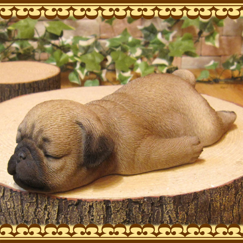 �ѥ�����ʪ���ꥢ��ʸ�����ʪ���ޤä���ɥå������̤Υե����������֥���������ƥꥢ�������ǥ󡡥٥��������ȡ��������Υ���ƥꥢ�ˤ����Υ����ʥ��ȤȤ��Ƥ����