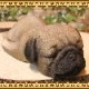 �ѥ�����ʪ���ꥢ��ʸ�����ʪ���ޤä���ɥå������̤Υե����������֥���������ƥꥢ�������ǥ󡡥٥��������ȡ��������Υ���ƥꥢ�ˤ����Υ����ʥ��ȤȤ��Ƥ����