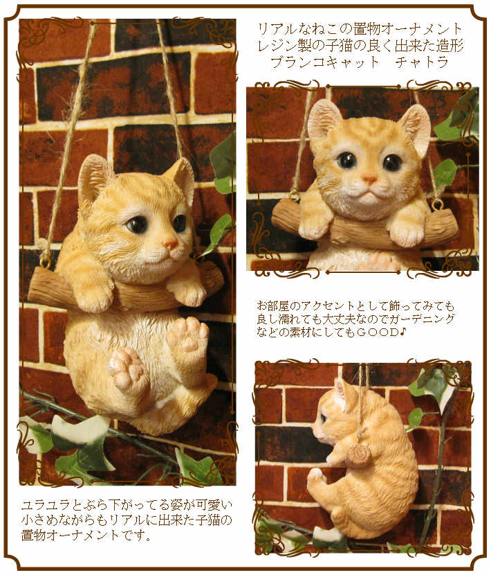 �ꥢ��ʥͥ�����ʪ���֥�󥳥���åȡ��������� ����ȥ顡�ͤ��Υե����奢���������Υ���ƥꥢ�ˤ����Υ����ʥ��ȤȤ��Ƥ�