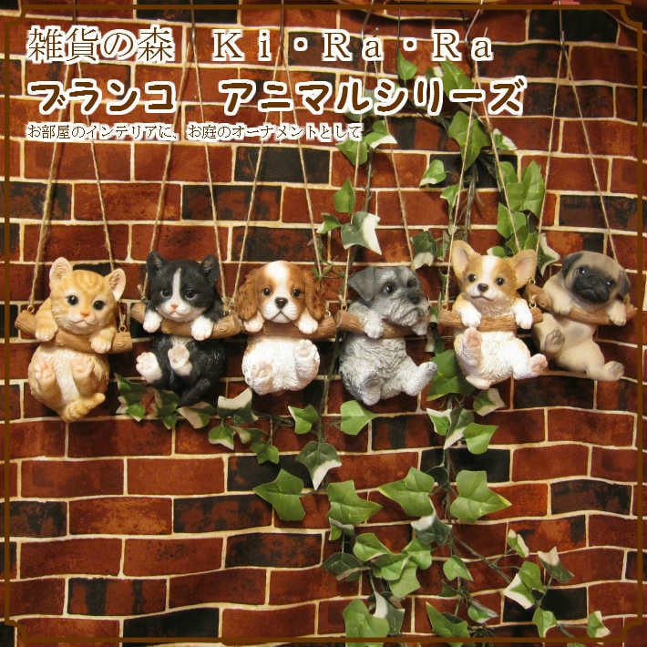 �ꥢ��ʥͥ�����ʪ���֥�󥳥���åȡ��������� ����ȥ顡�ͤ��Υե����奢���������Υ���ƥꥢ�ˤ����Υ����ʥ��ȤȤ��Ƥ�