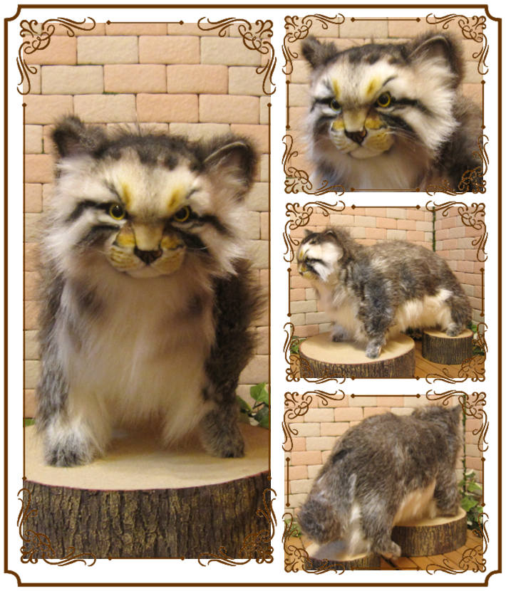 ǭʪ礭ƥꥢʡޥ̥̤ͥߡåȡǭʪͥΥ֥ƥꥢե奢