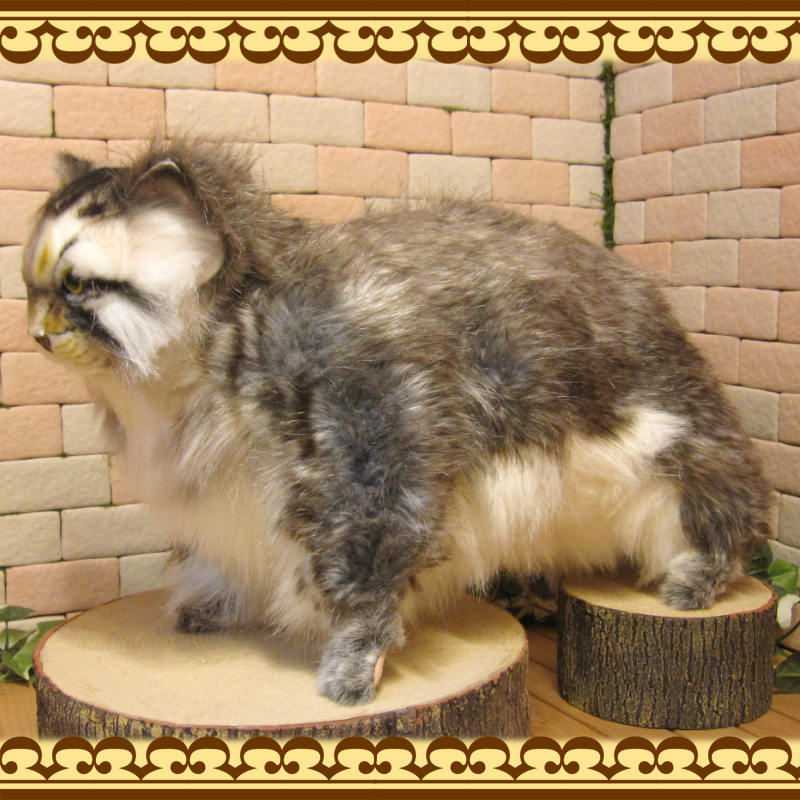 ǭʪ礭ƥꥢʡޥ̥̤ͥߡåȡǭʪͥΥ֥ƥꥢե奢