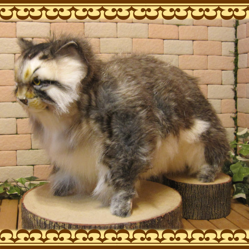 ǭʪ礭ƥꥢʡޥ̥̤ͥߡåȡǭʪͥΥ֥ƥꥢե奢