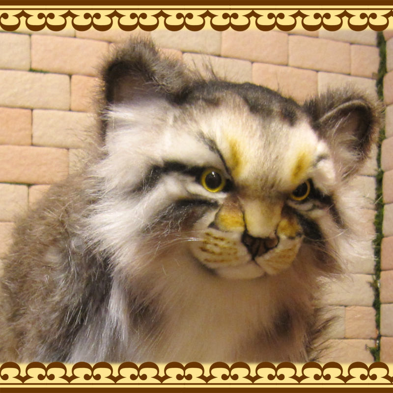 ǭʪ礭ƥꥢʡޥ̥̤ͥߡåȡǭʪͥΥ֥ƥꥢե奢