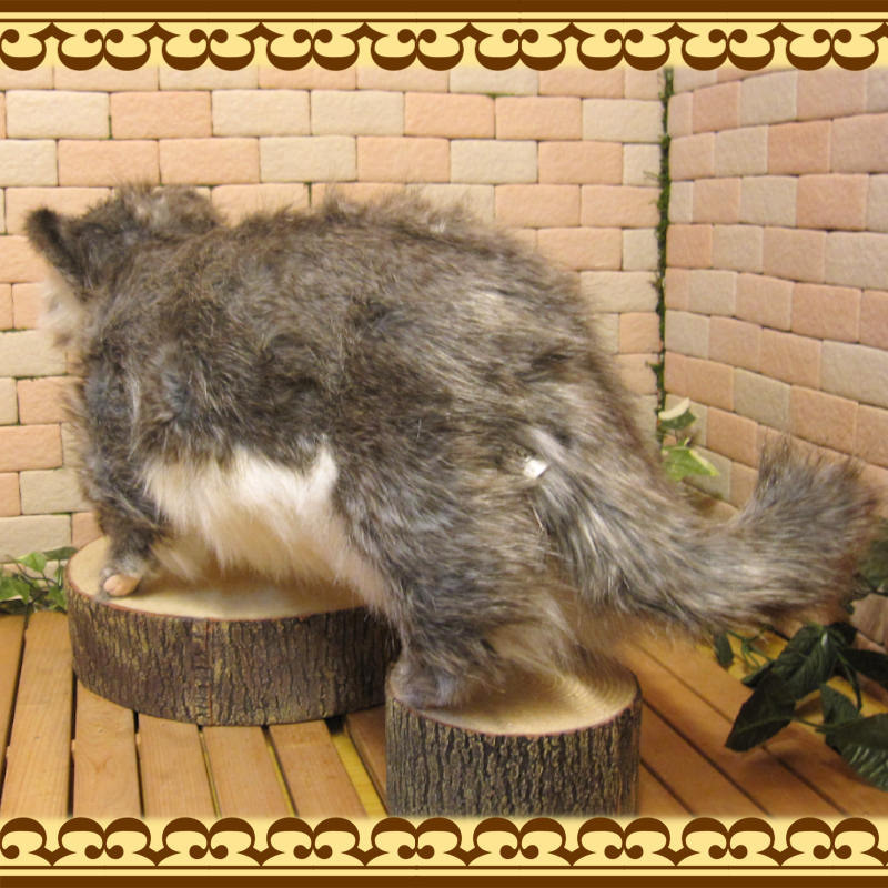 ǭʪ礭ƥꥢʡޥ̥̤ͥߡåȡǭʪͥΥ֥ƥꥢե奢