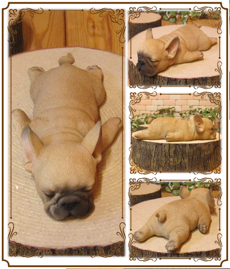 �ե����֥�ɥå�����ʪ���ꥢ��ʸ�����ʪ���ޤä���ɥå����ե�֥롡���̤Υե����������֥���������ƥꥢ�������ǥ󡡥٥��������ȡ��������Υ���ƥꥢ�ˤ����Υ����ʥ��ȤȤ��Ƥ����