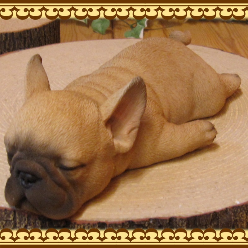�ե����֥�ɥå�����ʪ���ꥢ��ʸ�����ʪ���ޤä���ɥå����ե�֥롡���̤Υե����������֥���������ƥꥢ�������ǥ󡡥٥��������ȡ��������Υ���ƥꥢ�ˤ����Υ����ʥ��ȤȤ��Ƥ����