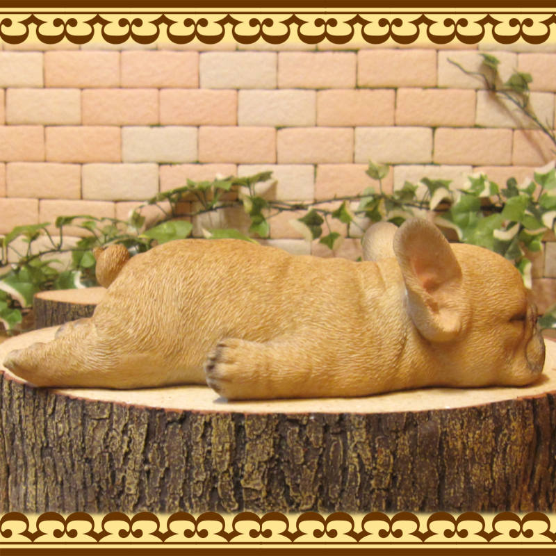 �ե����֥�ɥå�����ʪ���ꥢ��ʸ�����ʪ���ޤä���ɥå����ե�֥롡���̤Υե����������֥���������ƥꥢ�������ǥ󡡥٥��������ȡ��������Υ���ƥꥢ�ˤ����Υ����ʥ��ȤȤ��Ƥ����
