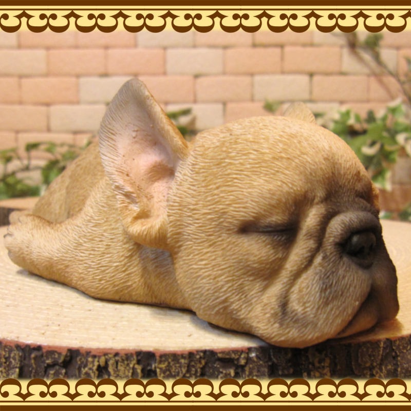 �ե����֥�ɥå�����ʪ���ꥢ��ʸ�����ʪ���ޤä���ɥå����ե�֥롡���̤Υե����������֥���������ƥꥢ�������ǥ󡡥٥��������ȡ��������Υ���ƥꥢ�ˤ����Υ����ʥ��ȤȤ��Ƥ����