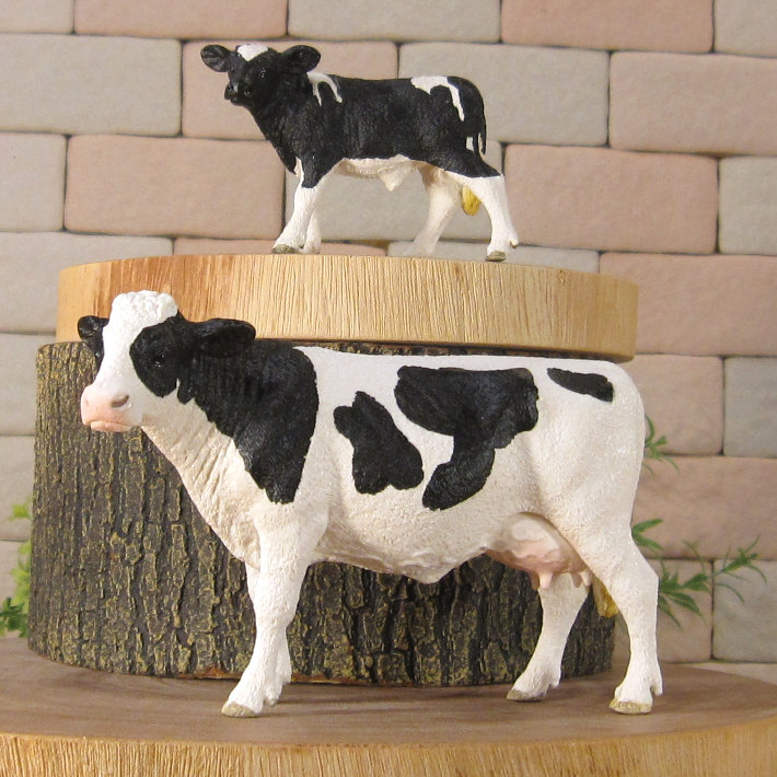 �ꥢ��ʡ����οƻҤ���ʪ�����������糧�åȡ�A�����ס��ɡ��롡�ե����奢�������ǥ˥󥰡��������ﵯʪ���ߥ˥��奢������ƥꥢ