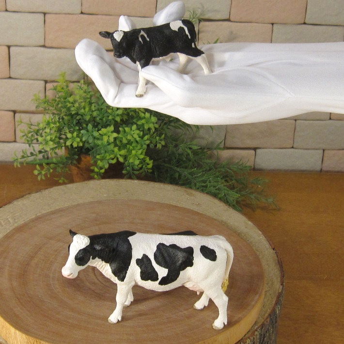 �ꥢ��ʡ����οƻҤ���ʪ�����������糧�åȡ�A�����ס��ɡ��롡�ե����奢�������ǥ˥󥰡��������ﵯʪ���ߥ˥��奢������ƥꥢ