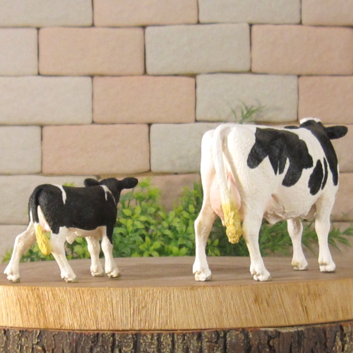 �ꥢ��ʡ����οƻҤ���ʪ�����������糧�åȡ�A�����ס��ɡ��롡�ե����奢�������ǥ˥󥰡��������ﵯʪ���ߥ˥��奢������ƥꥢ