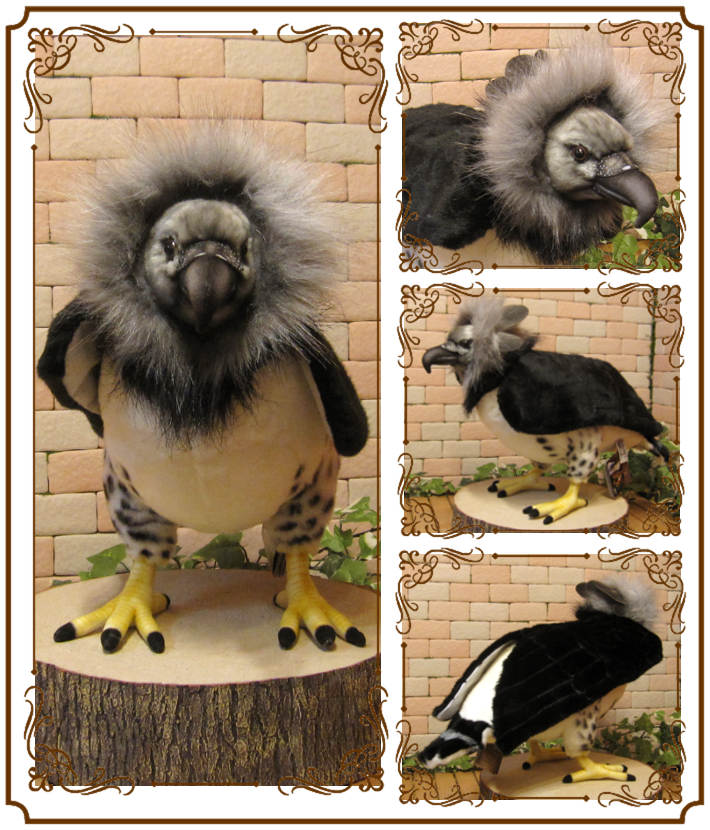 Ļ����ʪ���������亮���礭���ƥꥢ���Ļ�Τ̤�����ߡ����֥���������ƥꥢ���Ȥ����ʪ���ȥꡡ�С���