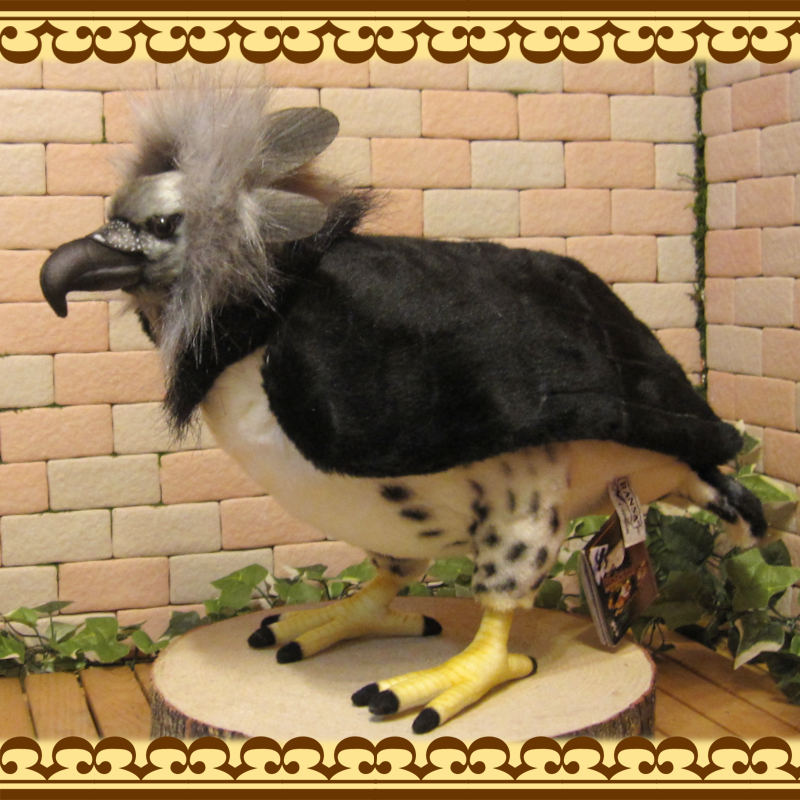 Ļ����ʪ���������亮���礭���ƥꥢ���Ļ�Τ̤�����ߡ����֥���������ƥꥢ���Ȥ����ʪ���ȥꡡ�С���