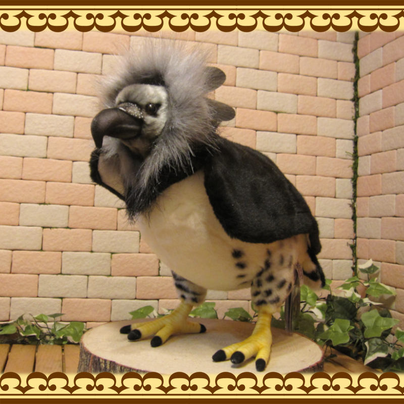 Ļ����ʪ���������亮���礭���ƥꥢ���Ļ�Τ̤�����ߡ����֥���������ƥꥢ���Ȥ����ʪ���ȥꡡ�С���