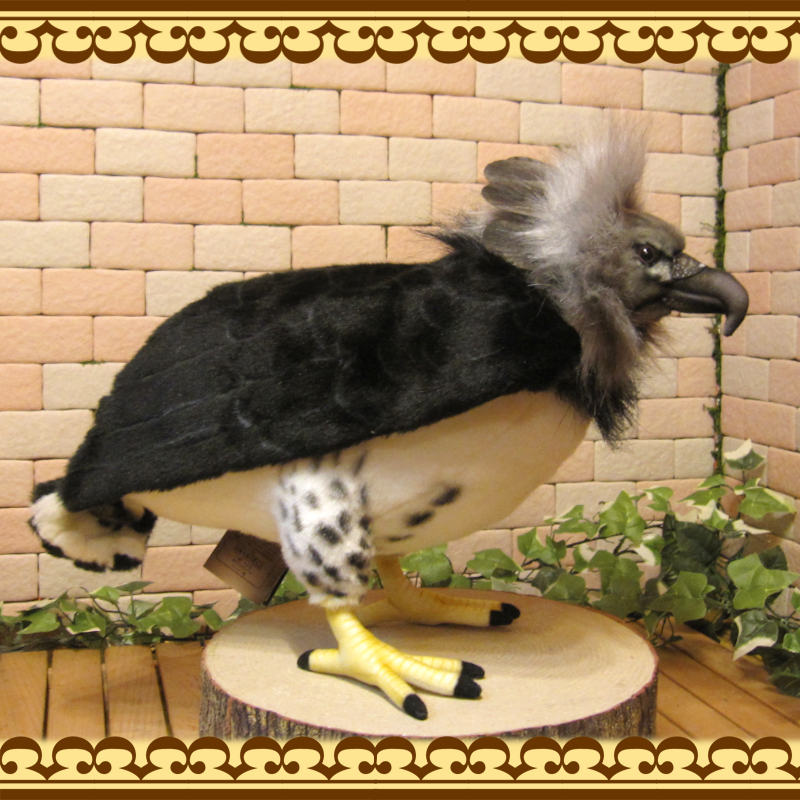 Ļ����ʪ���������亮���礭���ƥꥢ���Ļ�Τ̤�����ߡ����֥���������ƥꥢ���Ȥ����ʪ���ȥꡡ�С���