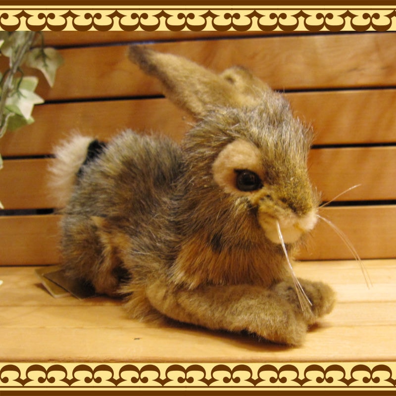 ��������������B�����ס��ꥢ��ʤ������Τ̤�����ߡ�