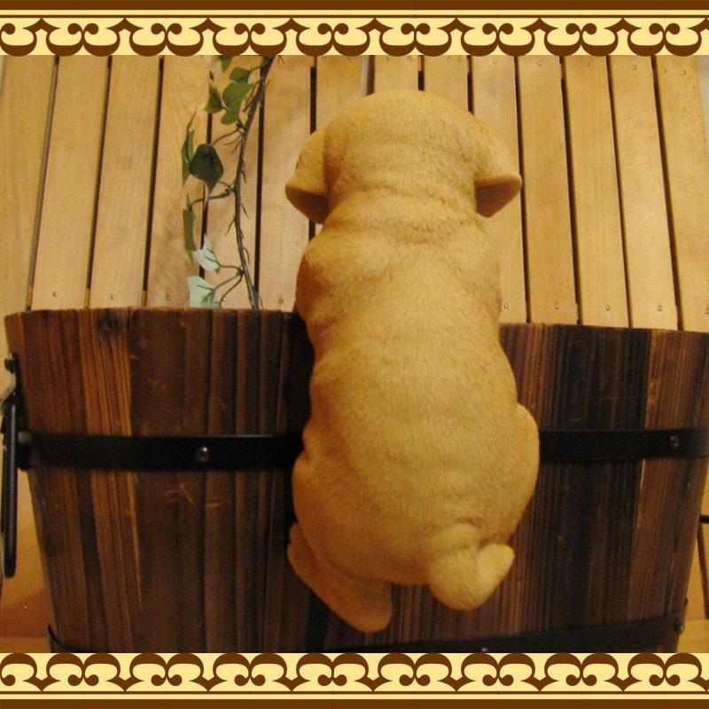 ��֥�ɡ����ȥ�С������ꥢ��ʸ�����ʪ���֤餵����ɥå������̤Υե��������������Υ���ƥꥢ�ˤ����Υ����ʥ��ȤȤ��Ƥ��