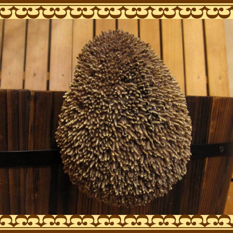 ϥͥߤʪ֤餵ꡡإåۥåꥢ롡Ϥͤߡ֥ǥ󡡥٥ȡʥ