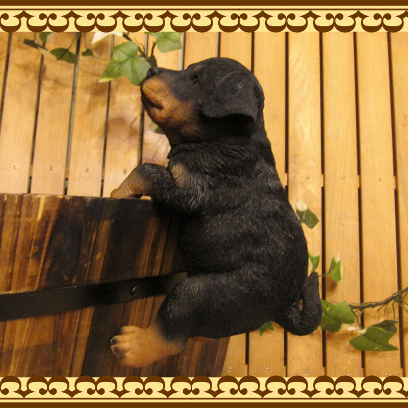 ���������Υ���ƥꥢ�ˤ����Υ����ʥ��ȤȤ��Ƥ�����ꥢ��ʸ�����ʪ���֤餵������åȥ磻�顼�����̤Υե�����