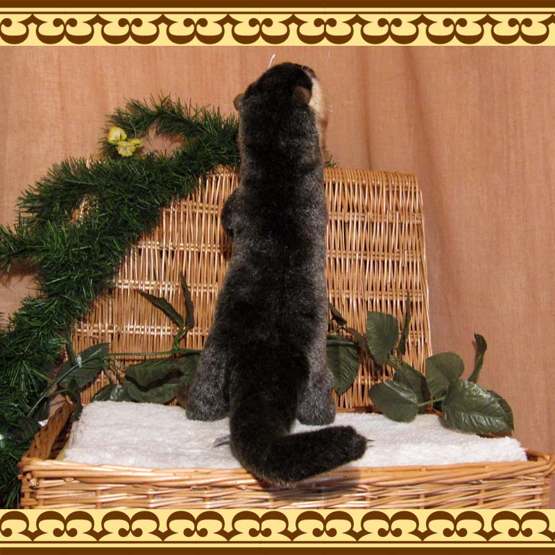 ���臘���������ף¡��ꥢ��ʥ��復���Τ̤������