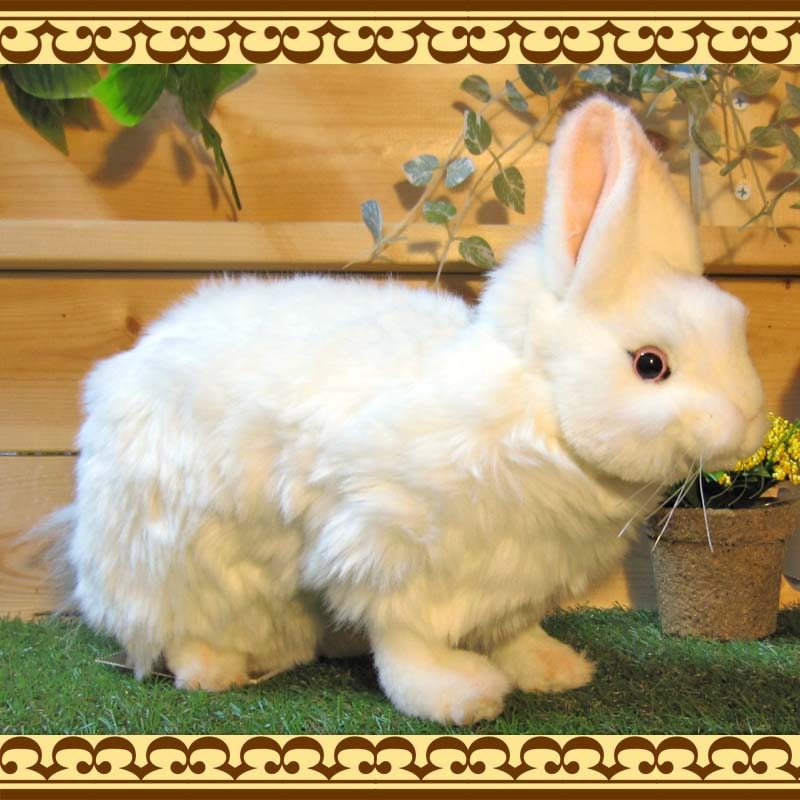 �㤦�������������ס��ꥢ��ʥ������Τ̤�����ߡ�����������ʪ����ӥåȥ��֥��������١�������ꡡ����ƥꥢ���Хˡ����å����ե����奢