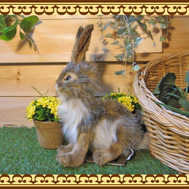 ���������������������ס��ꥢ��ʤ������Τ̤�����ߡ�