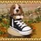 �ꥢ��ʸ�����ʪ���ӡ����롡���塼���ɥå����¥����ס����ˡ��������������Υ���ƥꥢ�ˤ����Υ����ʥ��ȤȤ��Ƥ�������Ҥ��̤Υե������������ǥ˥󥰡����֥�����������