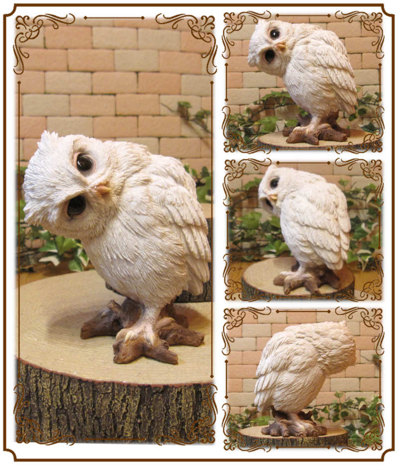 ꥢʤդʪߥߥ롡桡ﵯʪեΥե奢֥ƥꥢǥ󡡥٥ȡΥƥꥢˤΥʥȤȤƤ