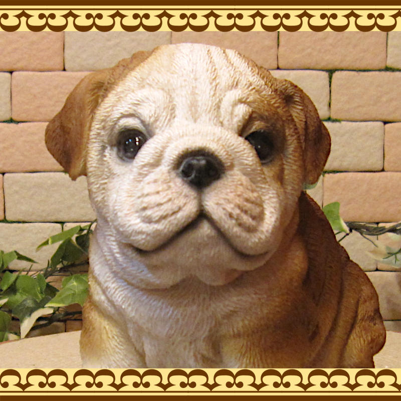 ���������Υ���ƥꥢ�ˤ����Υ����ʥ��ȤȤ��Ƥ�����ꥢ��ʸ�����ʪ���֥�ɥå������¤� �Ҹ��Υե�����