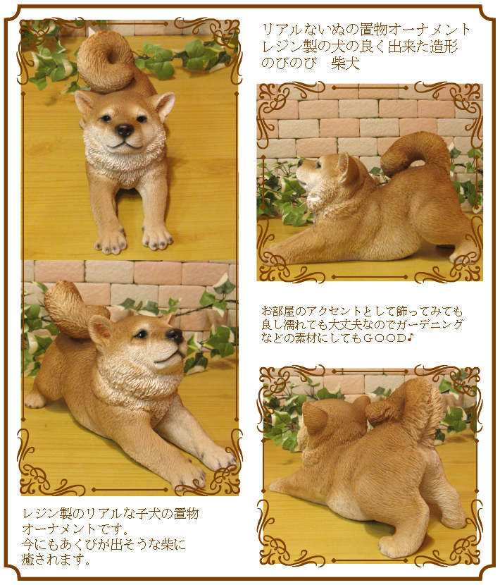 ������ʪ���Ƹ����ꥢ��ʤ��̤���ʪ���ΤӤΤӡ��ơ����Ф��̤Υ��֥��������Х���Ź�ޡ������������󥿡��������ǥ˥󥰡��٥���������