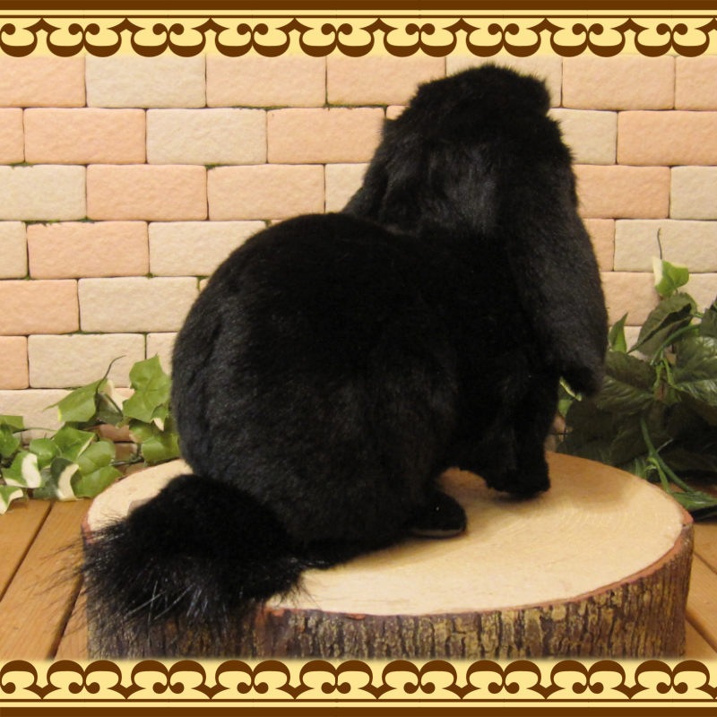 ���åץ��䡼���֥�å����ꥢ��ʥ������Τ̤�����ߡ�����������ʪ����ӥåȥ��֥���������ƥꥢ���Хˡ����å����ե����奢