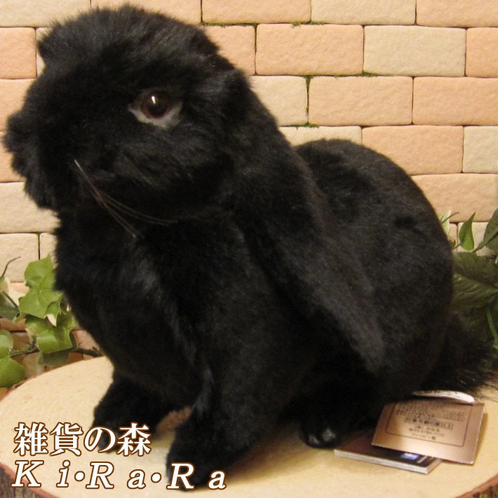 ���åץ��䡼���֥�å����ꥢ��ʥ������Τ̤�����ߡ�����������ʪ����ӥåȥ��֥���������ƥꥢ���Хˡ����å����ե����奢