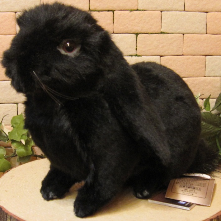 ���åץ��䡼���֥�å����ꥢ��ʥ������Τ̤�����ߡ�����������ʪ����ӥåȥ��֥���������ƥꥢ���Хˡ����å����ե����奢