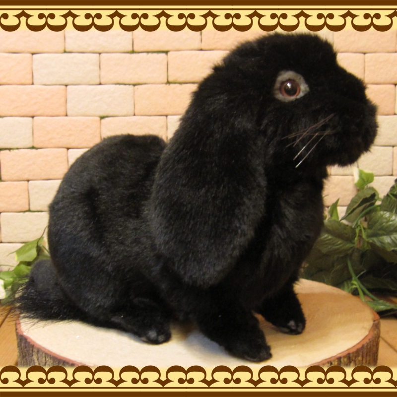 ���åץ��䡼���֥�å����ꥢ��ʥ������Τ̤�����ߡ�����������ʪ����ӥåȥ��֥���������ƥꥢ���Хˡ����å����ե����奢