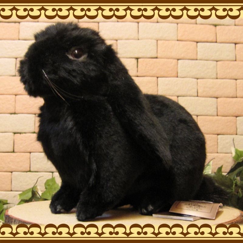 ���åץ��䡼���֥�å����ꥢ��ʥ������Τ̤�����ߡ�����������ʪ����ӥåȥ��֥���������ƥꥢ���Хˡ����å����ե����奢